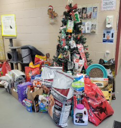 Christmas tree decorated with donations of pet food, toys and accessories piled high with more donations of larger items underneath.