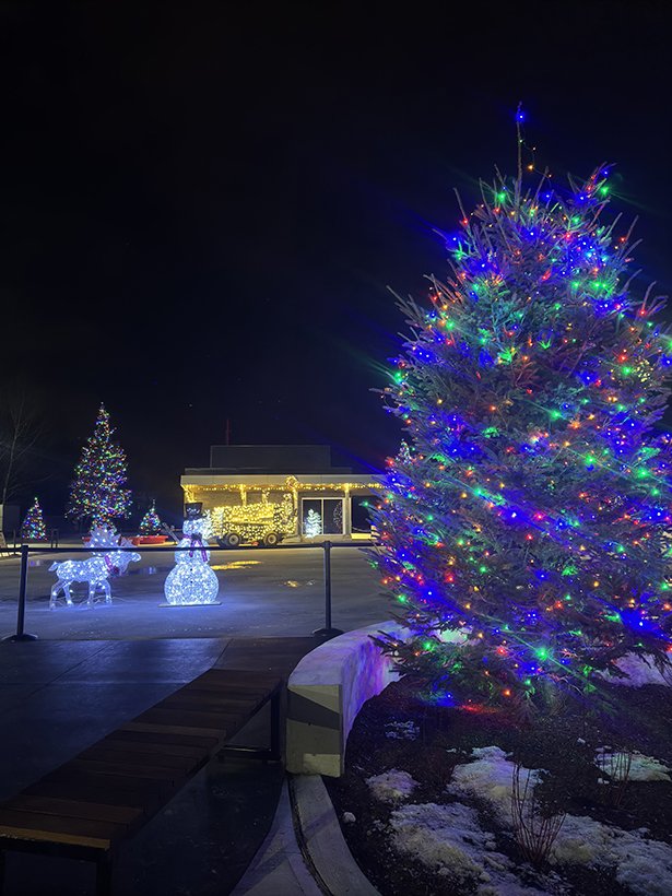 Christmas tree at Courtice Community Complex lit up with coloured lights.