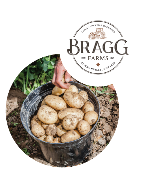 Picking potatoes. Bragg Farms logo.