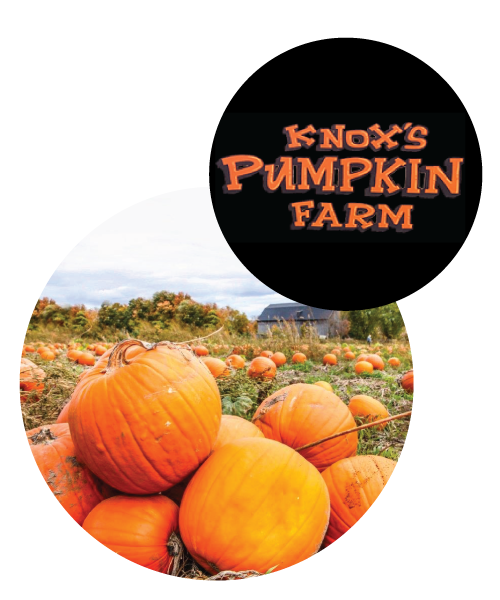 Pumpkin Patch and Knox's Pumpkin Farm logo.