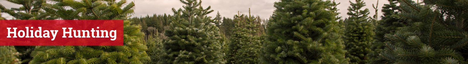 Christmas Tree Farm with text: Holiday Hunting