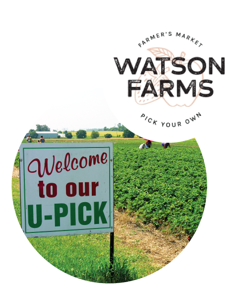 Watson's Farm Logo and U-Pick Sign