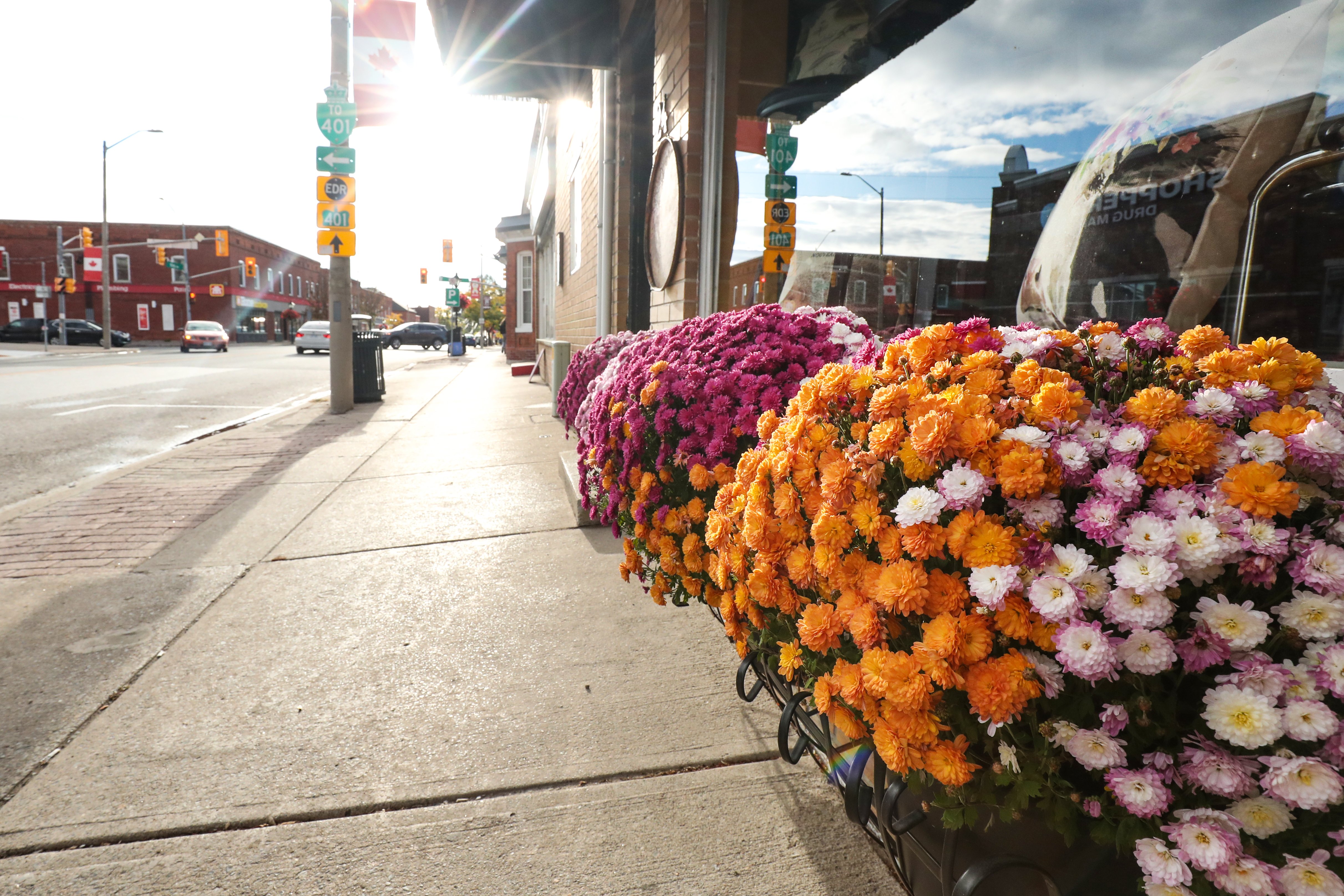 Flowers outside of downtown shops