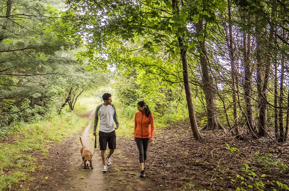 Couple walking on trail with their dog