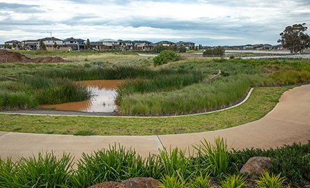 Stormwater management pond with a subdivision in the background