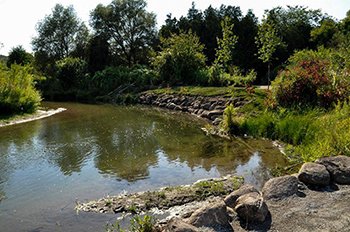 View of Bowmanville Creek from the accessible trail