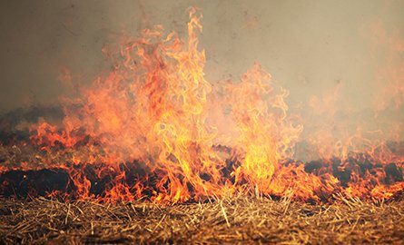 A grass fire