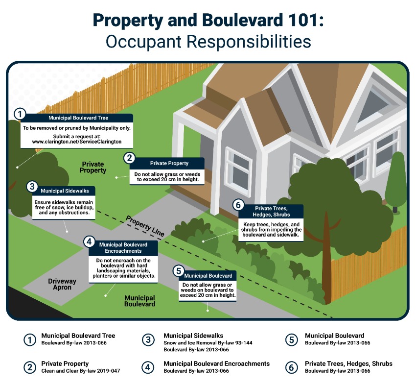 Click to view enlarged PDF. Graphic of the front yard, sidewalk and driveway of a home.  Title: Property and Boulevard. Occupant Responsibilities. Text: 1 Municipal Boulevard trees - To be removed or pruned by Municipality only. Submit a request at www.clarington.net/ServiceClarington. 2 Private property - Do not allow grass or weeds to exceed 20 cm in height. 3 Municipal sidewalks - Ensure sidewalks remain free of snow, ice buildup and any obstructions. 4. Municipal boulevard encroachments - do not encroach on the boulevard with hard landscaping materials, planters or objects. 5. Municipal boulevard - do not allow weeds or grass on boulevards to exceed 20 cm in height. 6. Private trees, hedges and shrubs - keep trees, hedges and shrubs from impeding the boulevard and sidewalk.