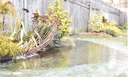 Flooded backyard