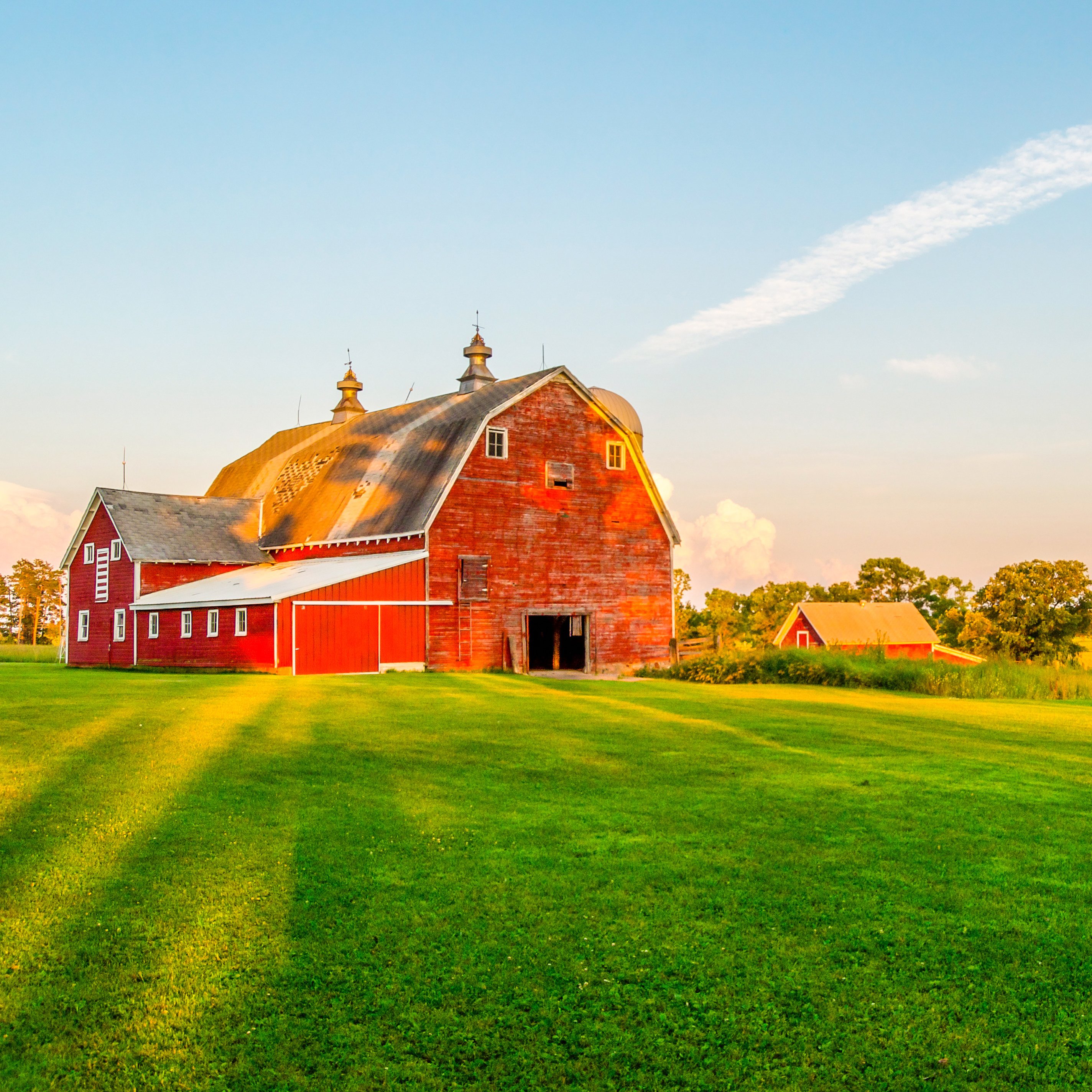 Farm with barn and out buildings