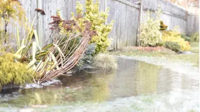 Flooded backyard