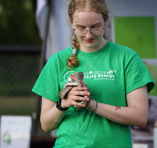 A Soper Creek Wildlife team member holds a snake