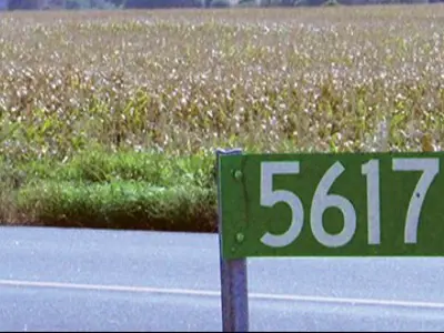 Farmer's field with green address road sign.